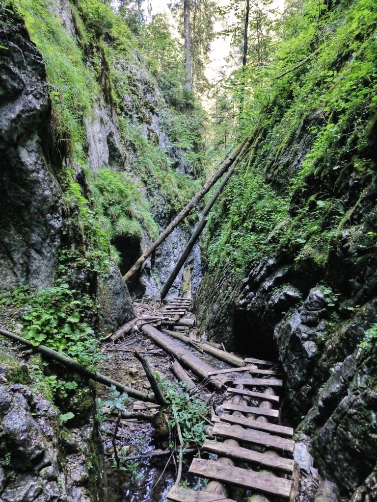 Tiesňava Veľký Sokol, Slovenský Raj Národný Park, Slovensko – 509