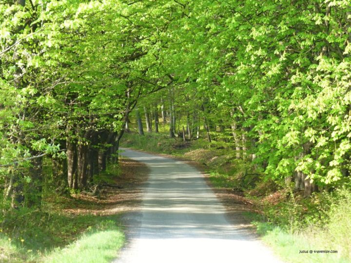 Cesta na Bradlo, Slanské vrchy, Košický kraj, Slovensko