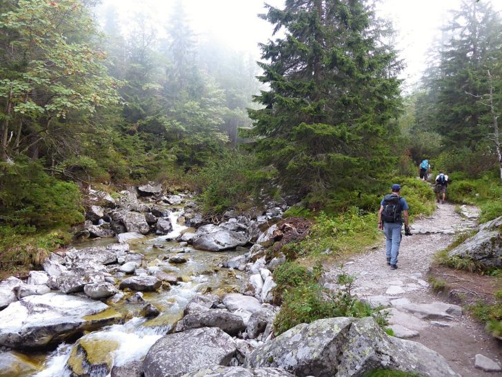 Malý studený potok pri Zamkovského chate, kam na výlet Východné Slovensko