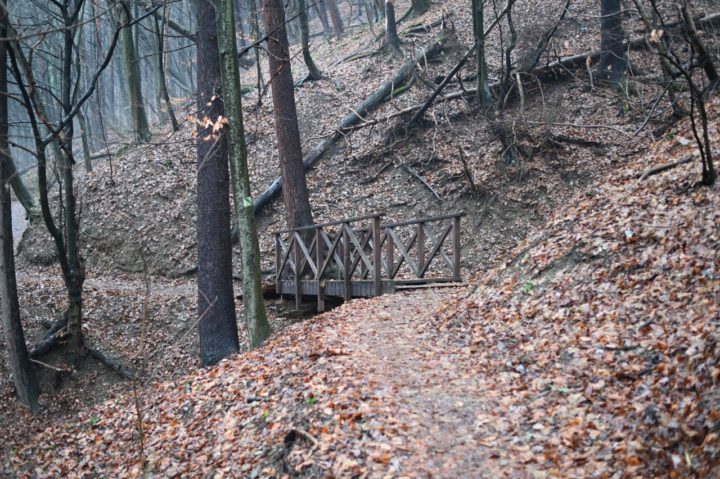 Čermeľský les, Košice