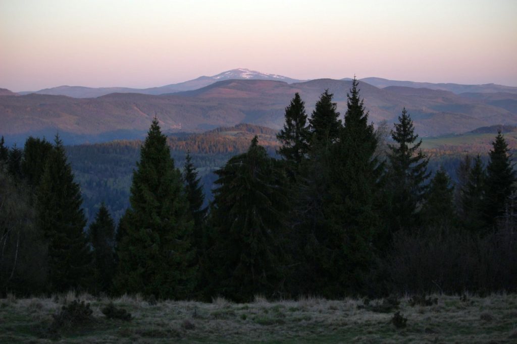 Kráľova hoľa z Bukovca (SNV)