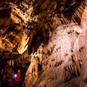 Jaskyňa Driny, Jaskyne na Slovensku