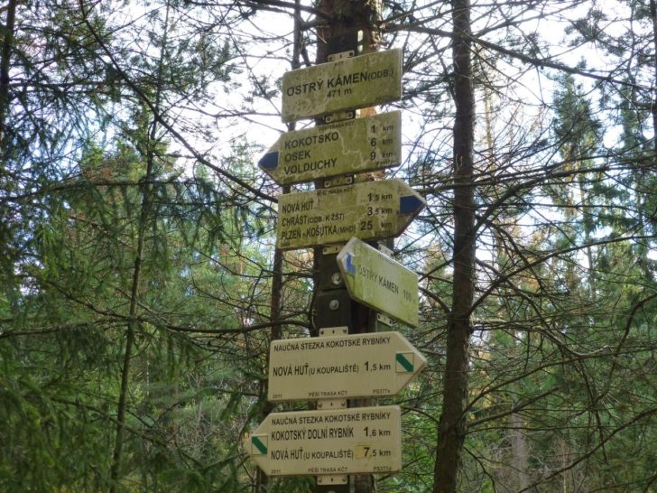 Rázcestník, Kokotský les
