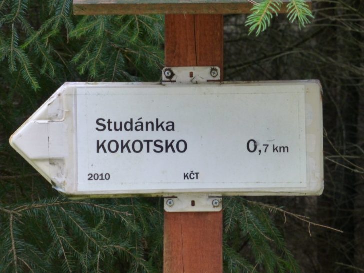 Kokotský les