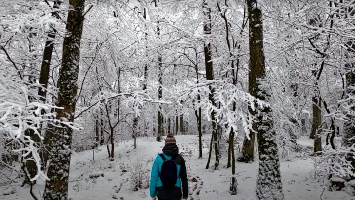 Prvý sneh, Košice