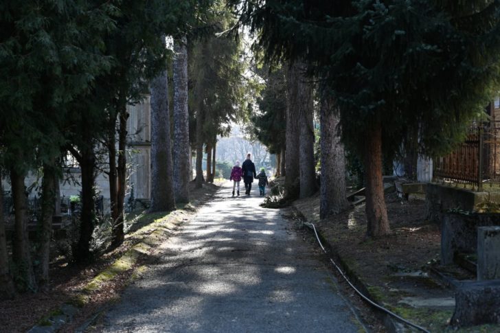 Cintorín Rozália, Košice