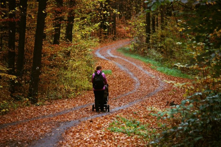 Kam s kočiarom v Košiciach - Lesopark Furča