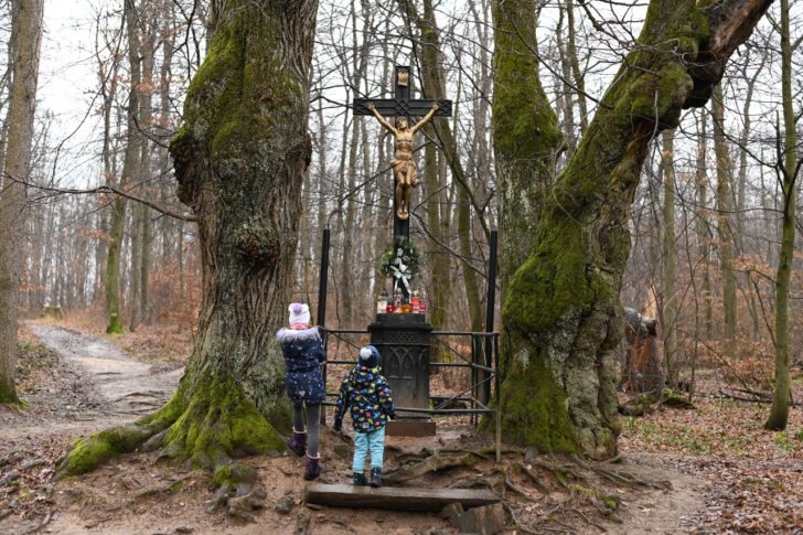 Kríž pri studničke, Lesopark Furča, Košice