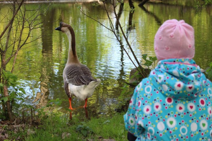 Park Barca, Košice s kočiarom