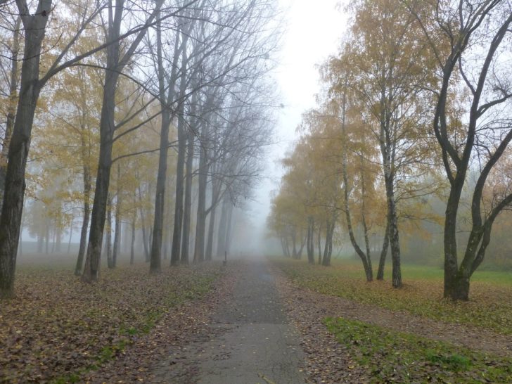 Park pri jazere, Košice