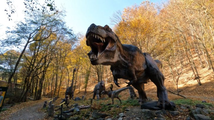 DinoPark Košice, Slovensko