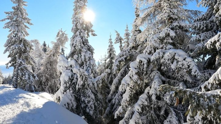 Štrbské pleso, Vysoké Tatry