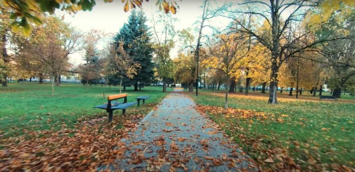 Mestský park, Košice