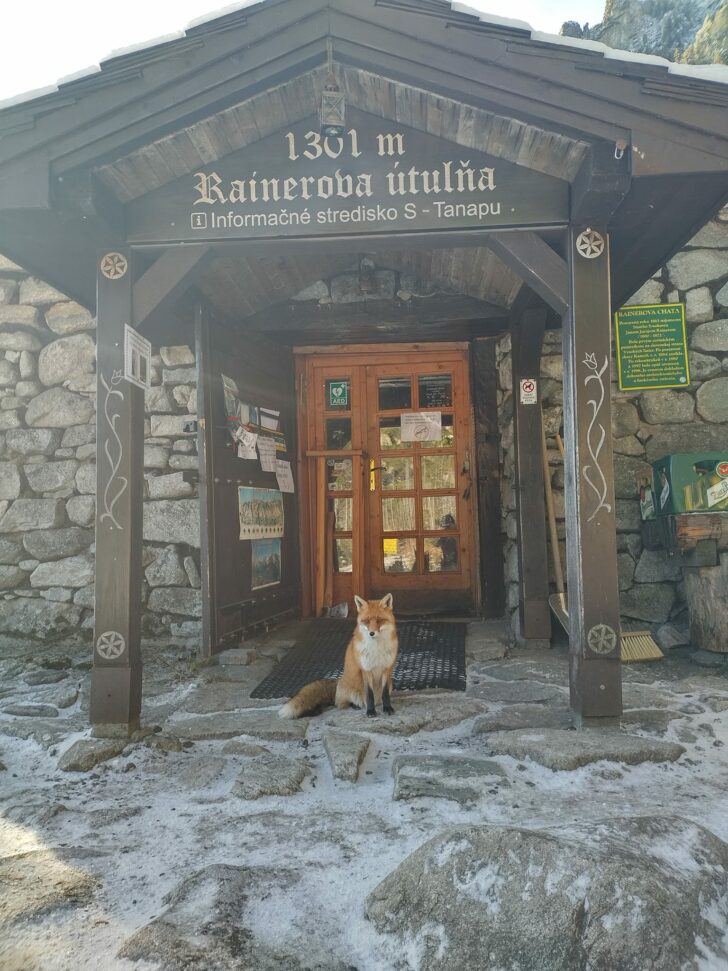 Rainerova útulňa, Vysoké Tatry