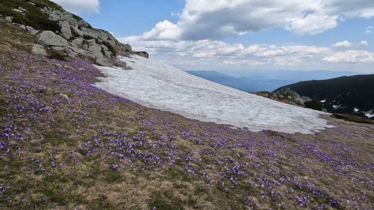 Národný park Rila, Bulharsko - deň 3. 17