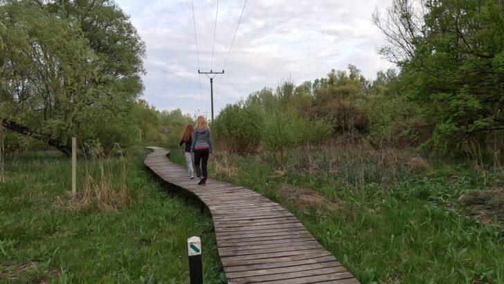 Vtáčí raj Senianske rybníky, Senné