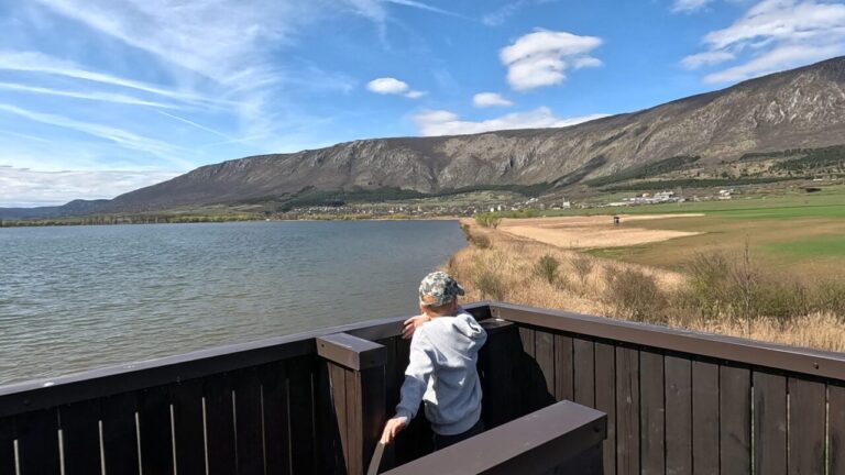 Vyhliadková veža 1, Hrhovské rybníky